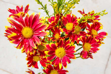 Bouquet of flower with drops of waterの写真素材