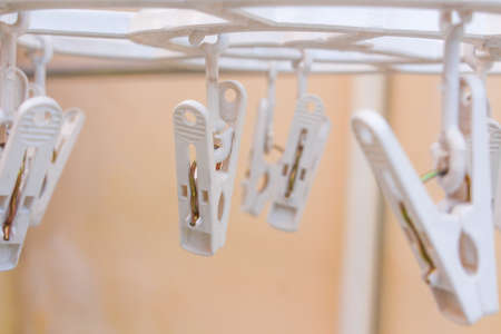 Row of Plastic Clothes pin clipの写真素材