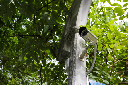 A CCTV with leaves on background