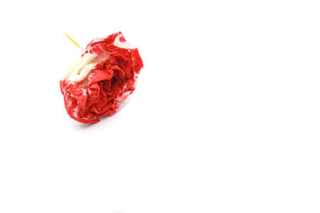 Abstract Paper flower model isolated on white backgroundの写真素材