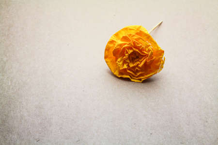 Abstract Paper flower model isolated on seamless brown paper backgroundの写真素材