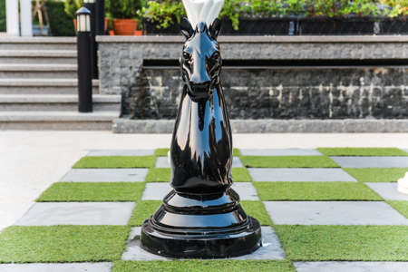 Horse chess pieces on a boardの写真素材