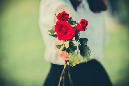 Girl holding rose with blur backgroundの写真素材