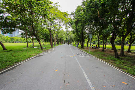Road in a park with trees aroundの写真素材