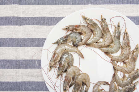 Fresh shrimp on a white plateの写真素材