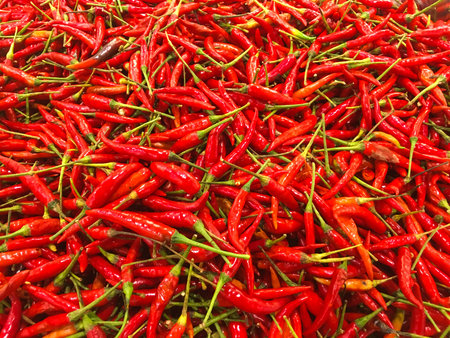 Pile of red hot chili, top viewの写真素材