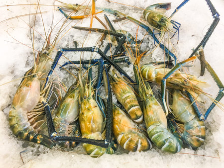 A group of a fresh big shrimp on ice