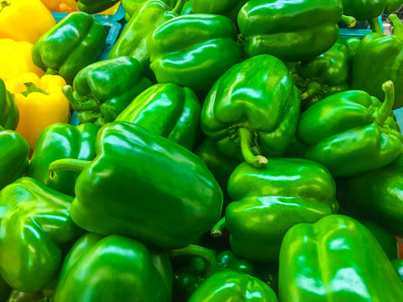 Pile of green bell pepperの写真素材