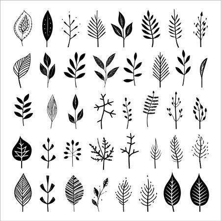 Tropical leaves in hand drawn vector collectionのイラスト素材