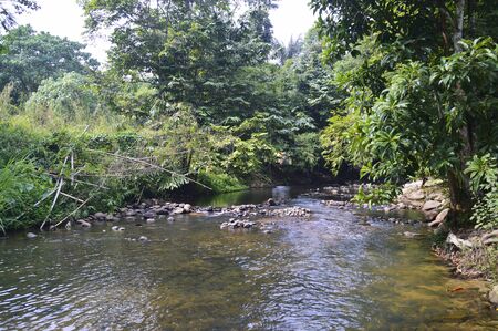 A panorama at Janda Baik river, Pahang, Malaysiaの写真素材
