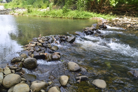 a panorama at Janda Baik river, Pahang, Malaysiaの写真素材