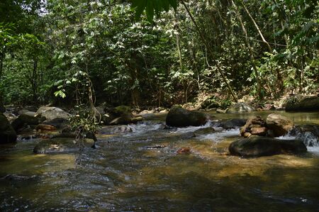 A panorama at Janda Baik river, Pahang, Malaysiaの写真素材