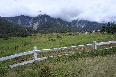 the grassfield at Kundasang, Sabah, Malaysiaの写真素材