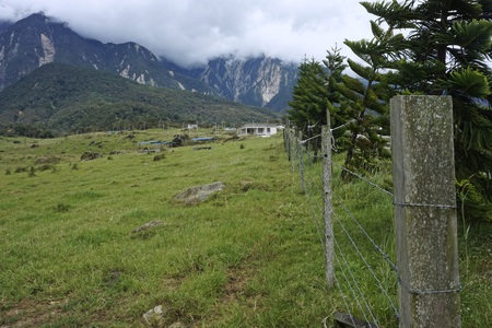 the grassfield at Kundasang, Sabah, Malaysiaの写真素材