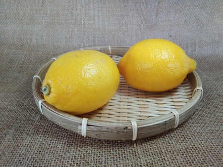 the two lemos in the basketの写真素材