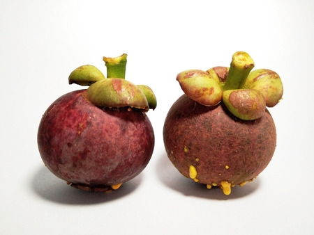 the double mangosteensの写真素材