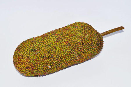 a jackfruit