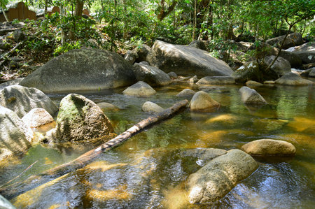 water flowing at the river