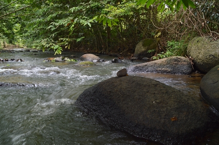 a scenic river with plants and clean waterの写真素材