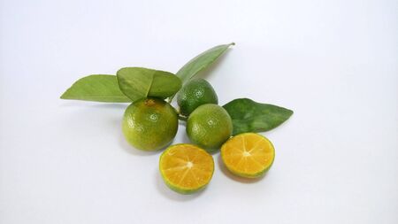 calamansi limes on the white backgroundの写真素材