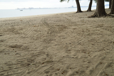 track on sand beach, located at Pantai Putri, Melaka, Malaysiaの写真素材