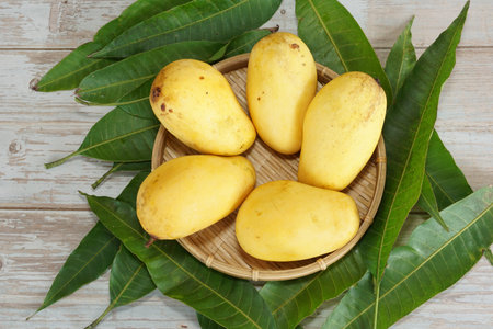 mango fruits on the table