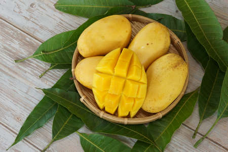 chopped mango fruits on the tableの写真素材