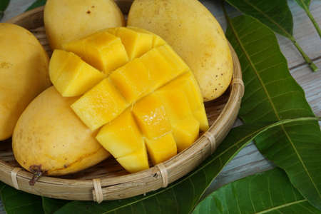 chopped mango fruits on the tableの写真素材