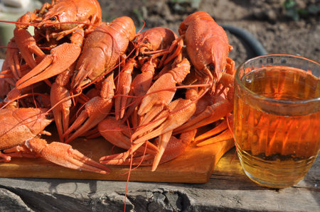 cancerの写真素材