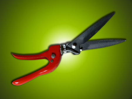 garden scissors