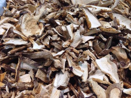 Sliced dried mushroom の素材