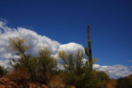 View of Azoriona desert with cloudsの写真素材