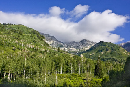 Rocky Mountains in the summer showing trees and snow capped mountainsの写真素材