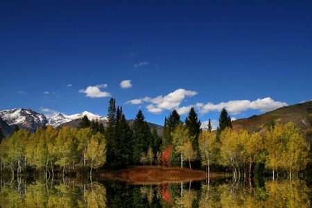 Mountain Meadow in the fall with reflectionsの写真素材