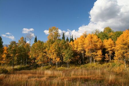 Mountain Flat in the fall  with blue sky and cloudsの写真素材