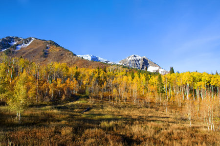 High Mountain Flat in the fall showing all the fall colors with mountains in the background
