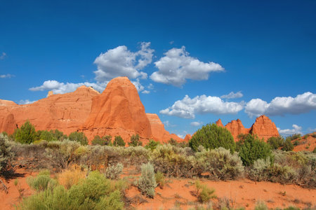 View of the red rock formations in Kodachrome Basin with blue skys and cloudsの写真素材