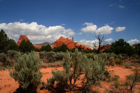 View of the red rock formations in Kodachrome Basin with blue sky's and cloudsの写真素材