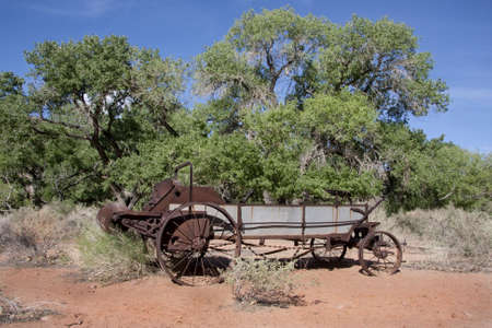 Old wagon in the desert with blue sky and green treesの写真素材