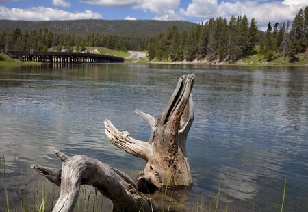 Fishing bridhe in Yellowsttone National Parkの写真素材