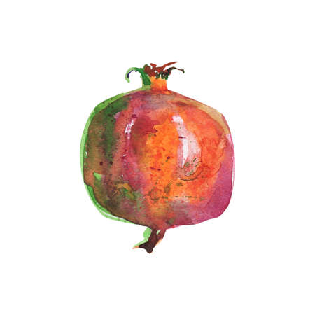 Hand drawn pomegranate. Watercolor fresh fruit on white background. Painting isolated illustrationの写真素材