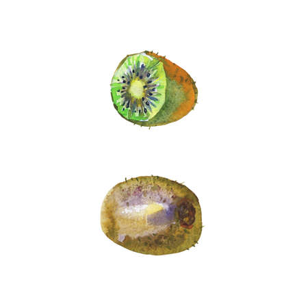 Hand drawn set of whole and ripe kiwi. Watercolor fresh exotic fruit on white background. Painting isolated illustrationの写真素材