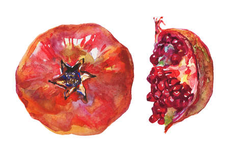 Hand drawn set of ripe and whole pomegranate. Watercolor fresh fruit on white background. Painting isolated illustrationの写真素材