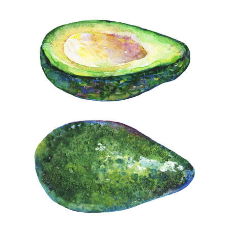 Hand drawn watercolor set of ripe, slice and whole avocado. Painting vegetables on white backgroundの写真素材