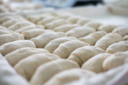 Freshly made bread dough on a tray shot at a local bakery factory.の写真素材