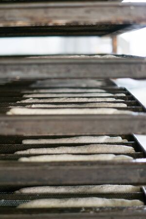 A tray rack of soft roll fresh dough being taken to bread ovens at the local bakeryの写真素材