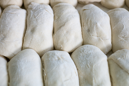 Freshly made bread dough on a tray showing rolls ready to be baked.の写真素材