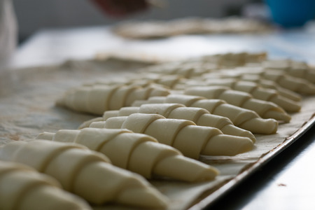 A tray of classic Croissants dough ready to be taken to the oven at the bakery, bread factory.の写真素材