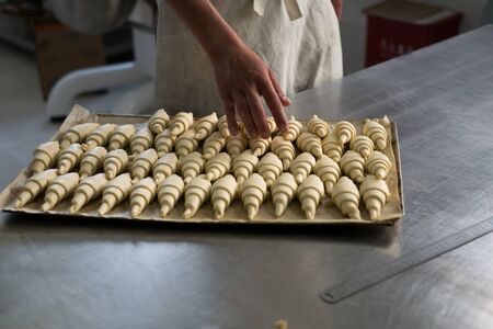 A baker counting a tray of raw croissants dough after rolling them.の写真素材