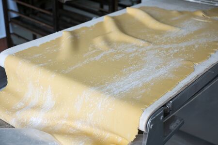 A rolled out sheet of Pie Dough or Crust sprinkled with flour still sitting on the rolling machine.の写真素材